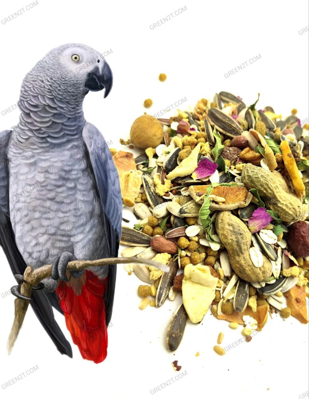 card-img